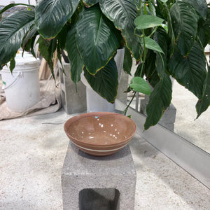 Small bowl